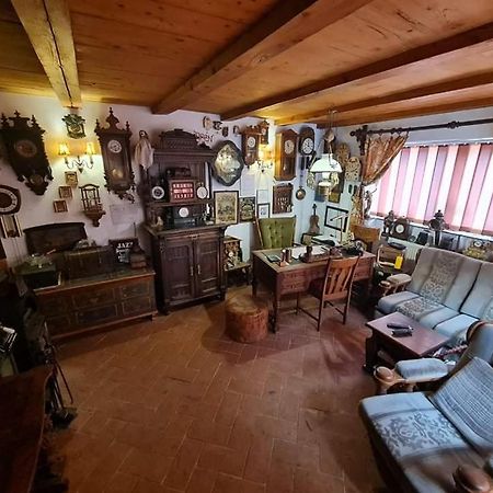 Pensiunea Otilia Sighișoara Zewnętrze zdjęcie