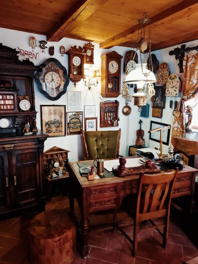 Pensiunea Otilia Sighișoara Zewnętrze zdjęcie