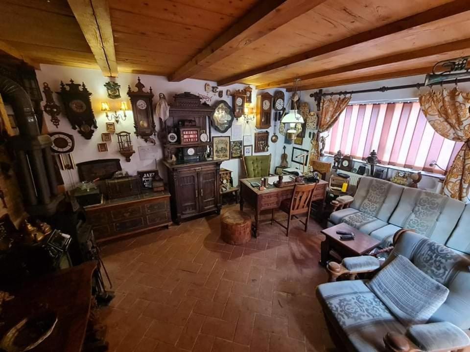Pensiunea Otilia Sighișoara Zewnętrze zdjęcie